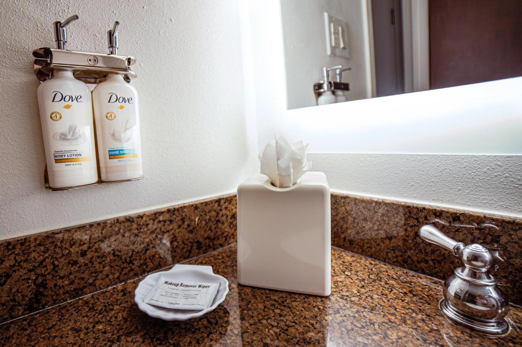 Holiday Inn Irving Las Colinas By Ihg Экстерьер фото